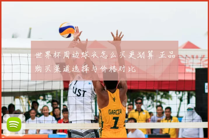 世界杯周边球衣怎么买更划算 正品购买渠道选择与价格对比