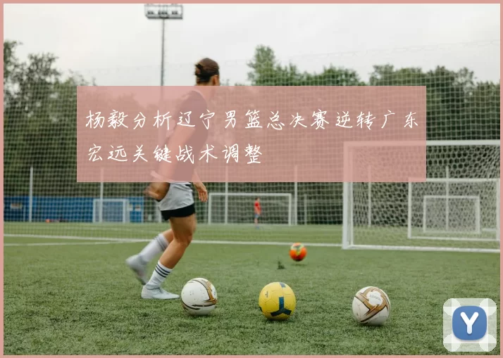 杨毅分析辽宁男篮总决赛逆转广东宏远关键战术调整