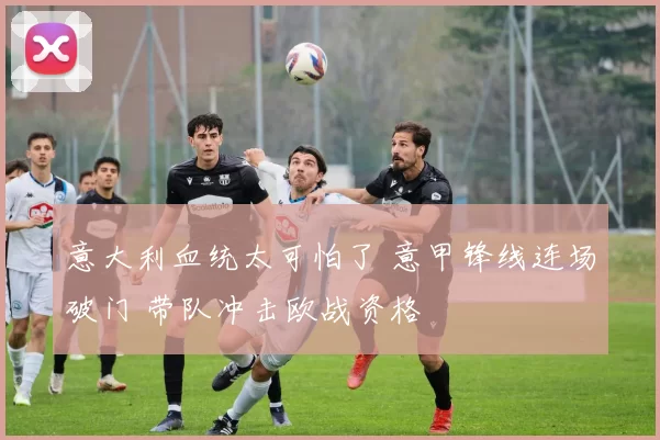 意大利血统太可怕了 意甲锋线连场破门 带队冲击欧战资格